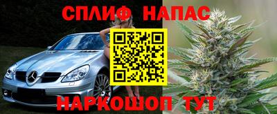 apvp Партизанск
