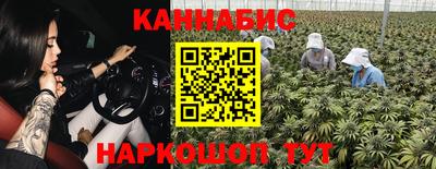 apvp Партизанск