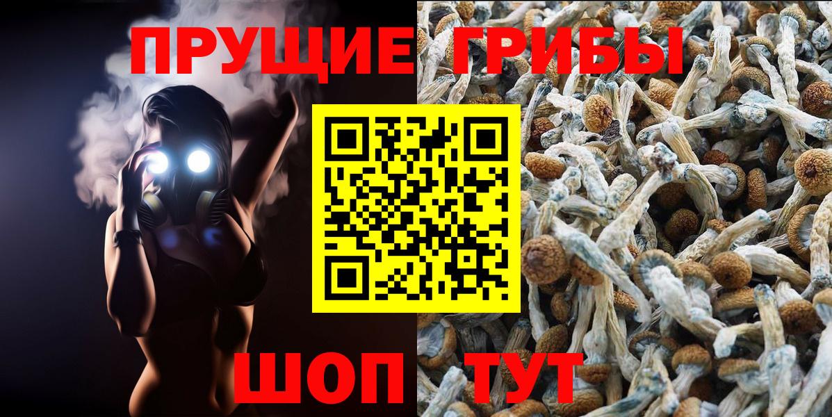 как найти наркотики  Вход с VPN  Спасск-Дальний  Псилоцибиновые грибы MAGIC MUSHROOMS 
