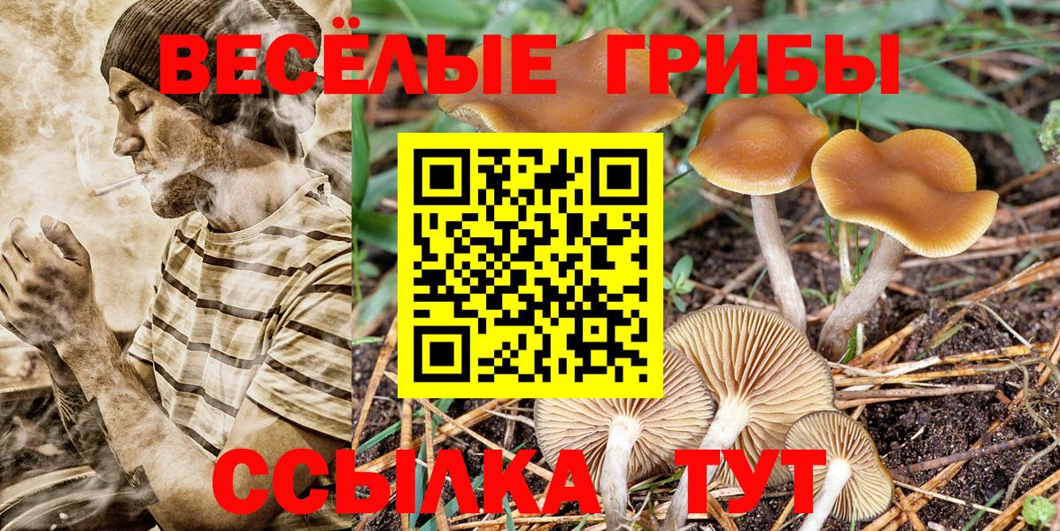 Псилоцибиновые грибы прущие грибы Спасск-Дальний